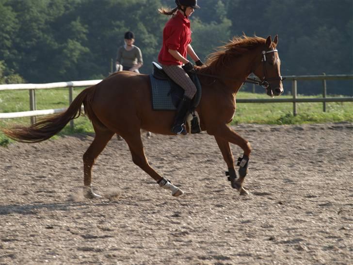 Fuldblod (XX) Pearl Harbor billede 12