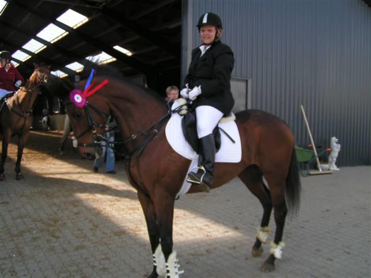 Fuldblod (XX) Jackie Windswept xx SOLGT - Få den af mor, den er træls (Vores 1. roset, baby jump GERK 04.05.08) billede 11