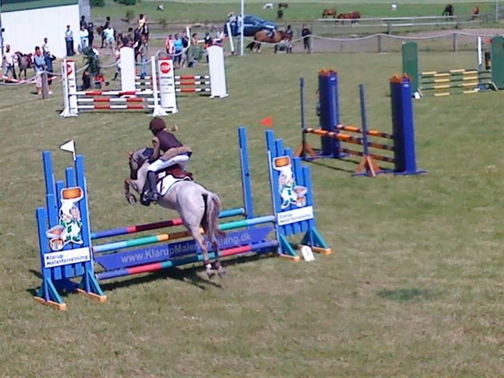Welsh Pony (sec B) Amandas ElveraSolgt:/ - ja. godt spring. billede 6