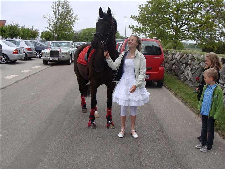 Anden særlig race Grusgårds Sorteper   billede 8