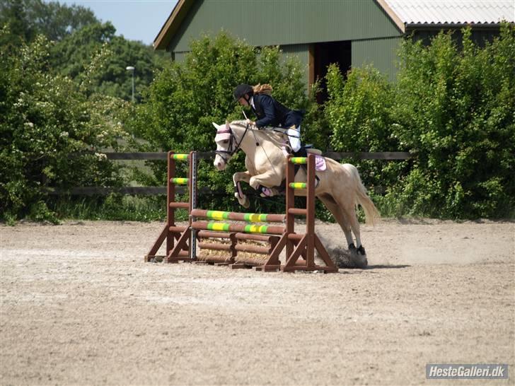 Welsh Pony (sec B) Rosengårdens Nakuma*solgt - Klubmester skab LB .. Det skal lige siges at vi red nul ;)  billede 20