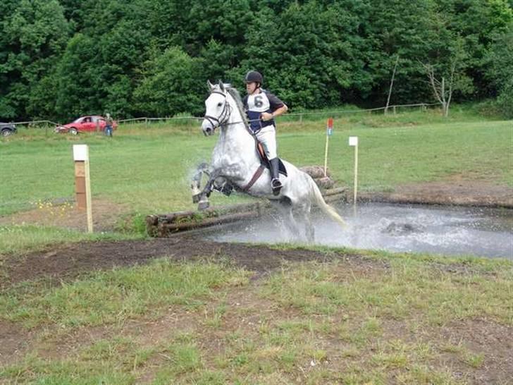 Anden særlig race May Day billede 1