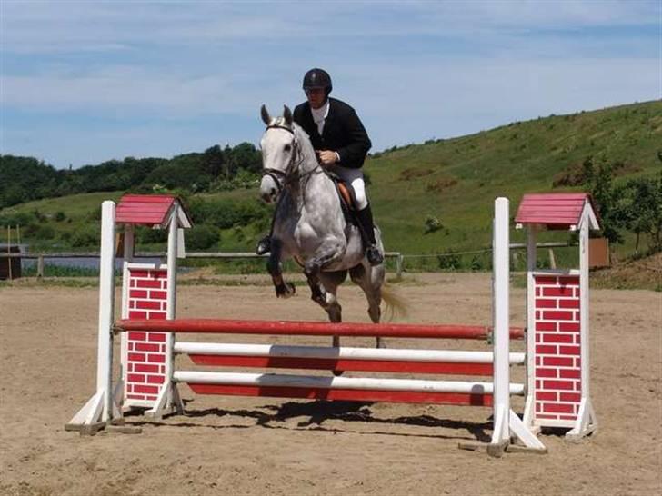Anden særlig race May Day billede 2