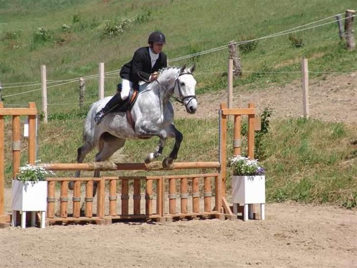 Anden særlig race May Day billede 5