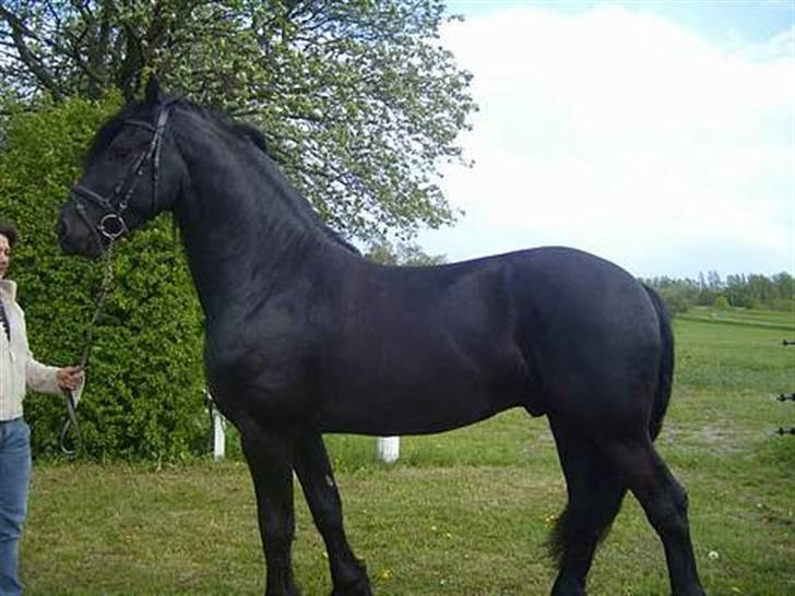 Frieser Jisk fan è Drifte billede 3