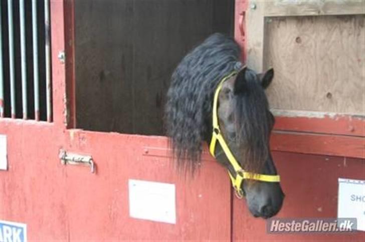 Frieser Jisk fan è Drifte billede 5