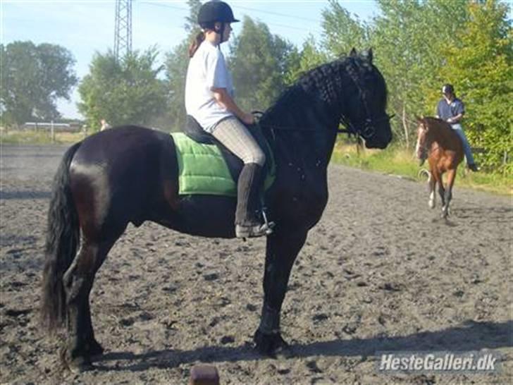 Frieser Jisk fan è Drifte billede 6