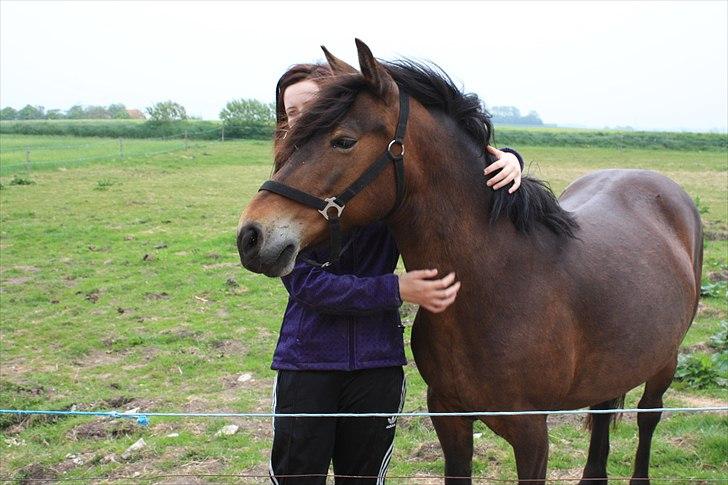 Hollandsk Sportspony | Selena - Muller og mig <3 billede 4