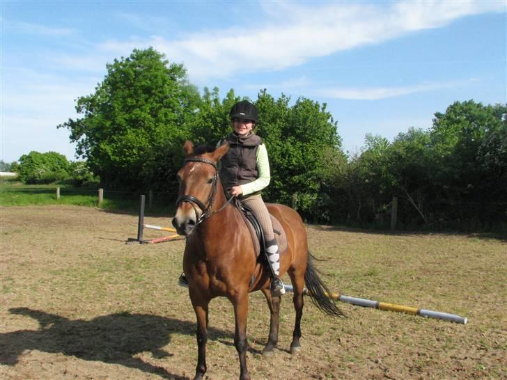 New Forest Trunte e*EX-PART** billede 11