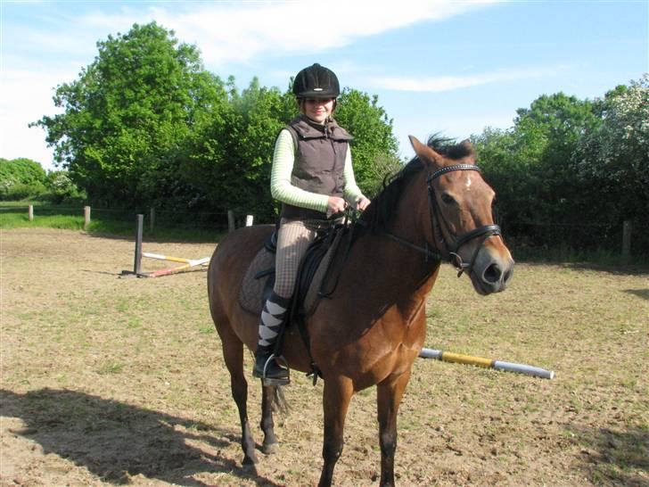 New Forest Trunte e*EX-PART** billede 13