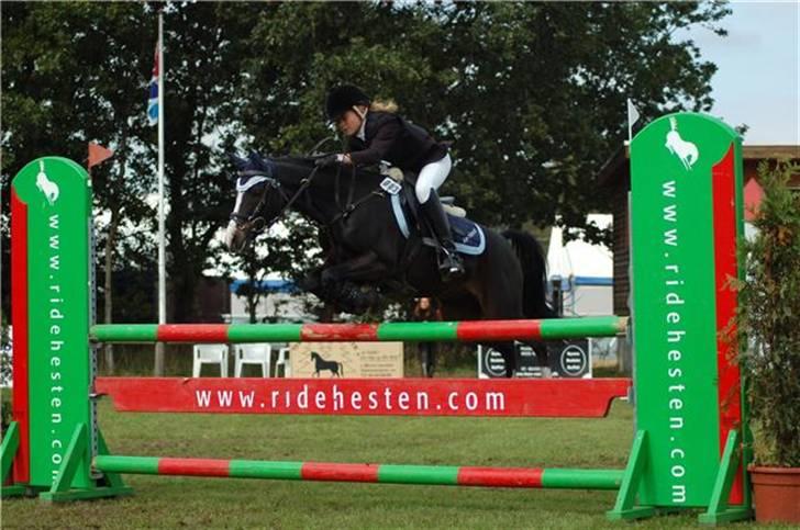 Welsh Pony (sec B) Dixie  / † / - MA på Kallehavegaard 2008(2.plads) billede 18