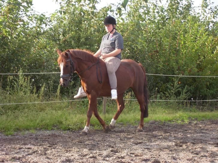Anden særlig race Felex - hyggedag:) fotograf: Rikke billede 17