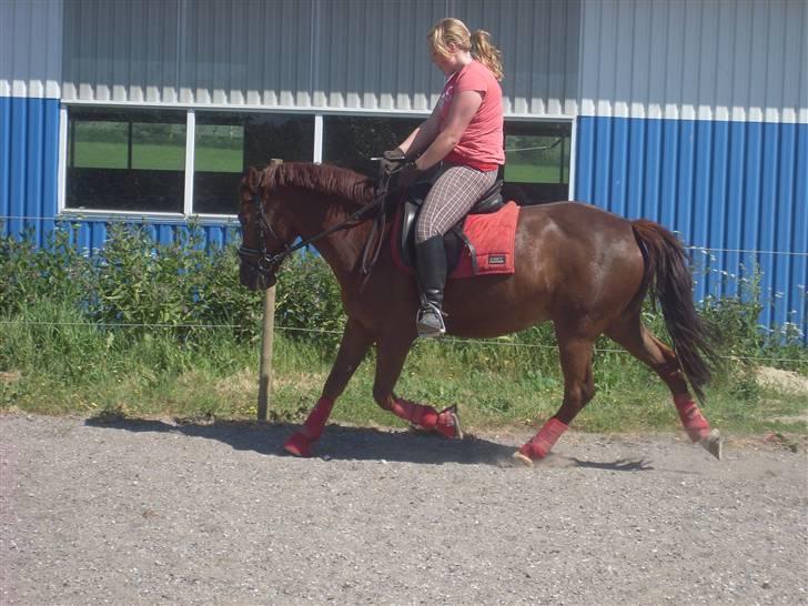 Anden særlig race Felex - Øgning d. 4 juni :) fotograf: Rikke billede 18