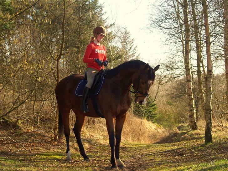 Fuldblod (XX) Dzhani     *aflivet* - Dzhani og jeg <3 Foto: Henriette Andersen billede 6