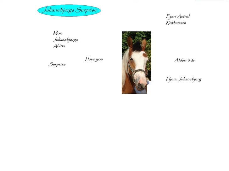 Pinto Julianebjergs Surprise billede 13