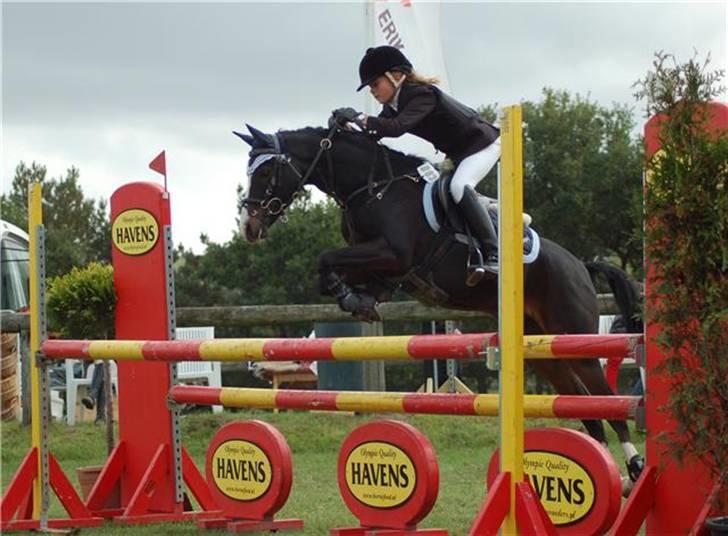 Welsh Pony (sec B) Dixie  / † / - MA Kallhavegård 2008(2.plads) billede 20