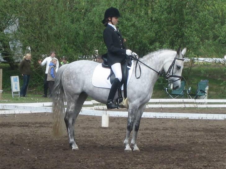 DSP Michel  - morsø 2008 fotograf: Ann Christine billede 19