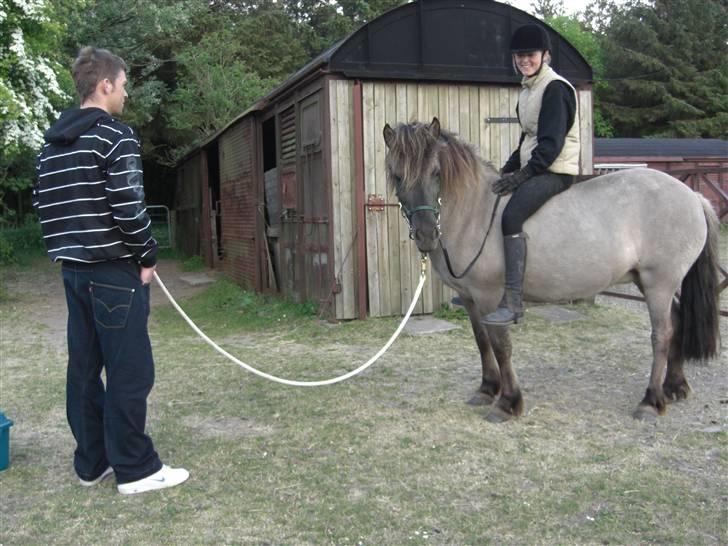 Islænder Hula fra lille nørregård - Min dejlige kæreste som lige ville hjælpe med at gå en tur med os. hehe billede 10