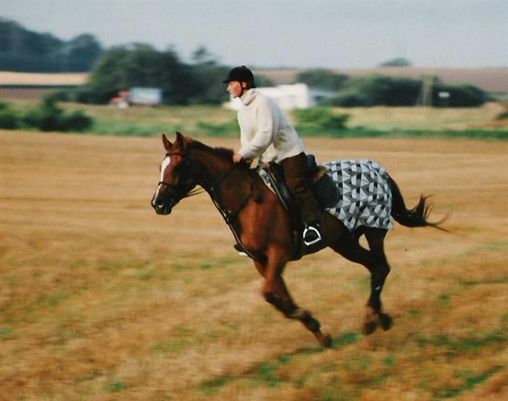 Anden særlig race Coco Chanel - cocos mor c´est la bon billede 2