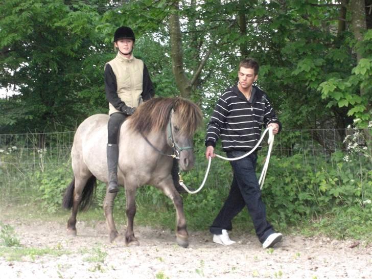 Islænder Hula fra lille nørregård - Lige et billed mere af en hyggelig gåtur. billede 12