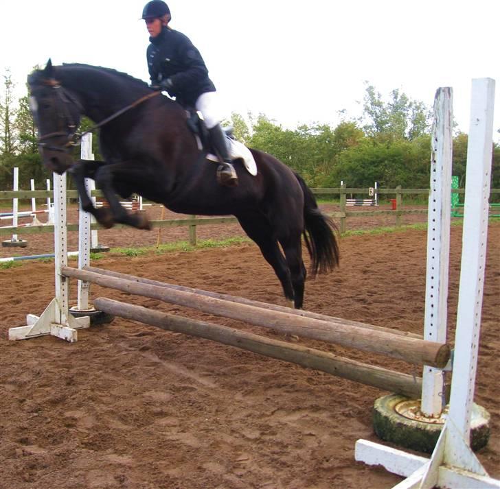 Oldenborg Samir - Velkommen til Samirs profil. =) - Billede: Stævne i HRK 2. okt. 2008 - Lc2 (60,78 %) og Begynderspring (fik 2 stop. x|) *FOTO//ANNE* [opvarmning] billede 1