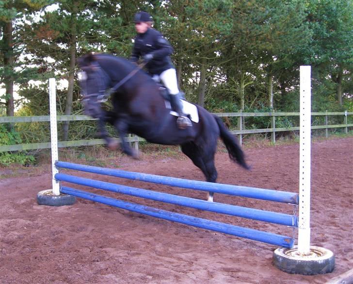 Oldenborg Samir - Stævne i HRK 2. okt. 2008 - Lc2 (60,78 %) og Begynderspring (fik 2 stop. x|) *FOTO//ANNE* [opvarmning] billede 3