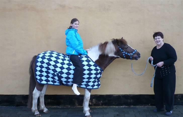 Anden særlig race Nordens Tequila Sunraise - Velkommen til Tequila`s profil. Læg gerne en kommentar og en bedømmelse, så bliver ve glade =) Jeg sidder på smukke, min bestemor holder hende <3 billede 2