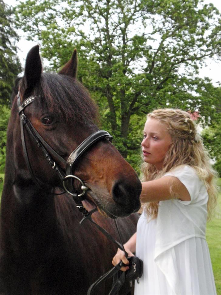 Anden særlig race Stella - tidligere hest. - D. 21 maj konfirmation (: billede 5