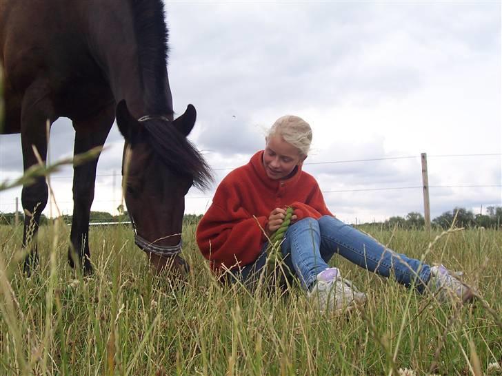 Anden særlig race Stella - tidligere hest. - Lige inden vi skulle på ferie. 08 billede 7