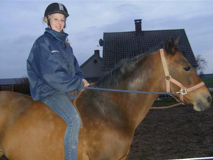 New Forest /Pinto   Celine -  Cille  - Lidt ridning i grime . forår 08 Foto: mor billede 5