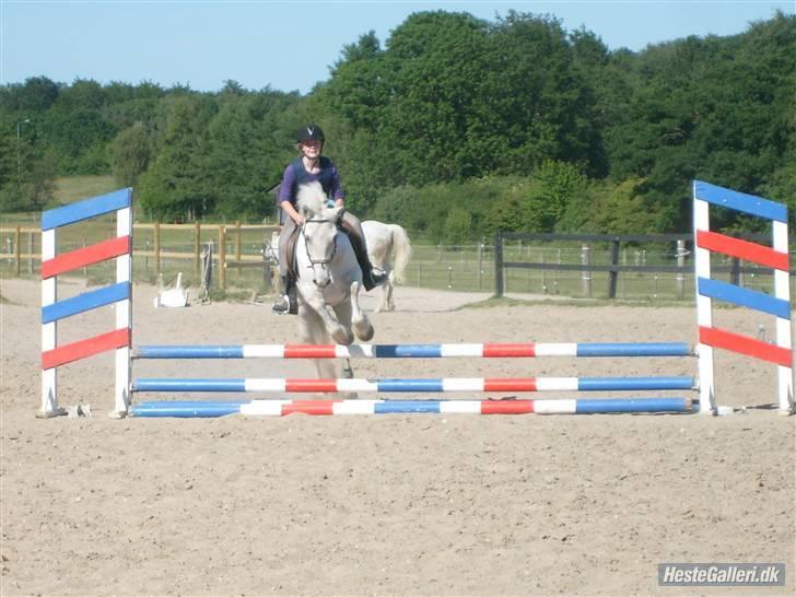 Anden særlig race Hugo (tidl. passer)  - mig og søde hugo. springer.      taget af Rikke billede 10