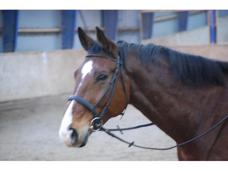 {{currentPhoto.altText}} billede {{currentPhoto.number}}