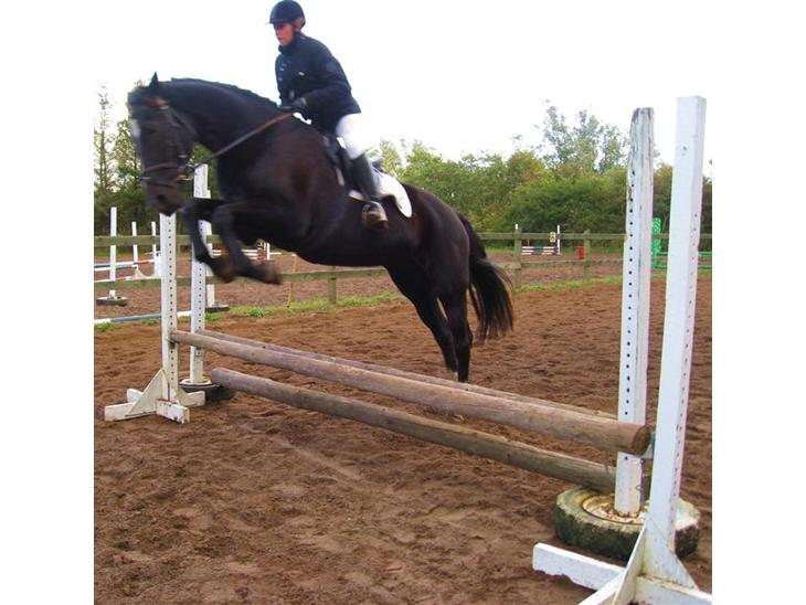 {{currentPhoto.altText}} billede {{currentPhoto.number}}