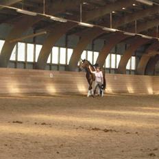 Holstener Horn's Lincoln " R.I.P.<3