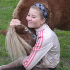 Shetlænder lucas :D