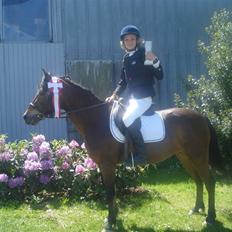 Anden særlig race Trunte