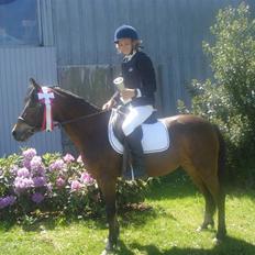 Anden særlig race Trunte