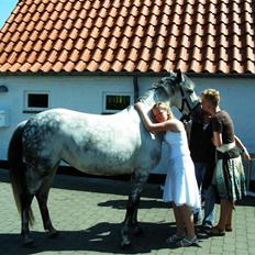 Anden særlig race Smilla 