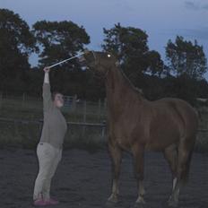 Oldenborg Ensock af Dybendal