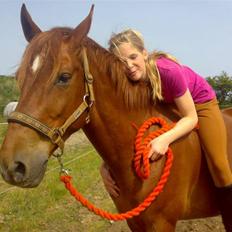 Anden særlig race Baloo. <3 R.I.P: