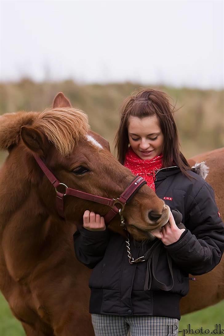 Anden særlig race Vestervangens Asterix - JP-foto billede 19
