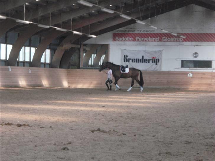 Holstener Horn's Lincoln " R.I.P.<3 - uhh <.d billede 6