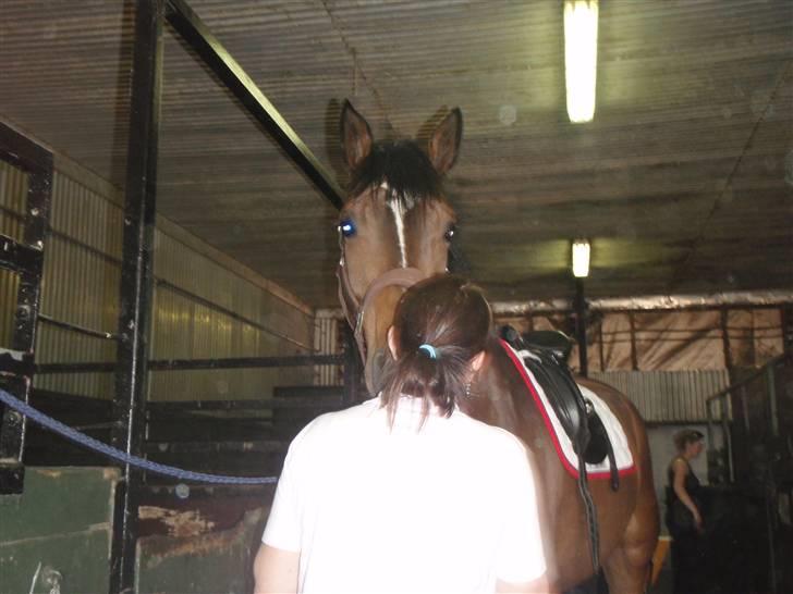 Holstener Horn's Lincoln " R.I.P.<3 - et lille kys billede 7