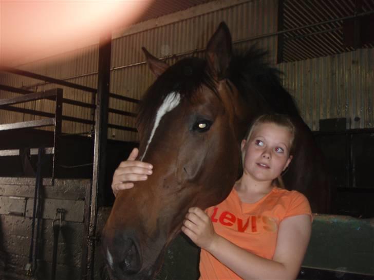 Holstener Horn's Lincoln " R.I.P.<3 - min søster og Lincoln billede 8