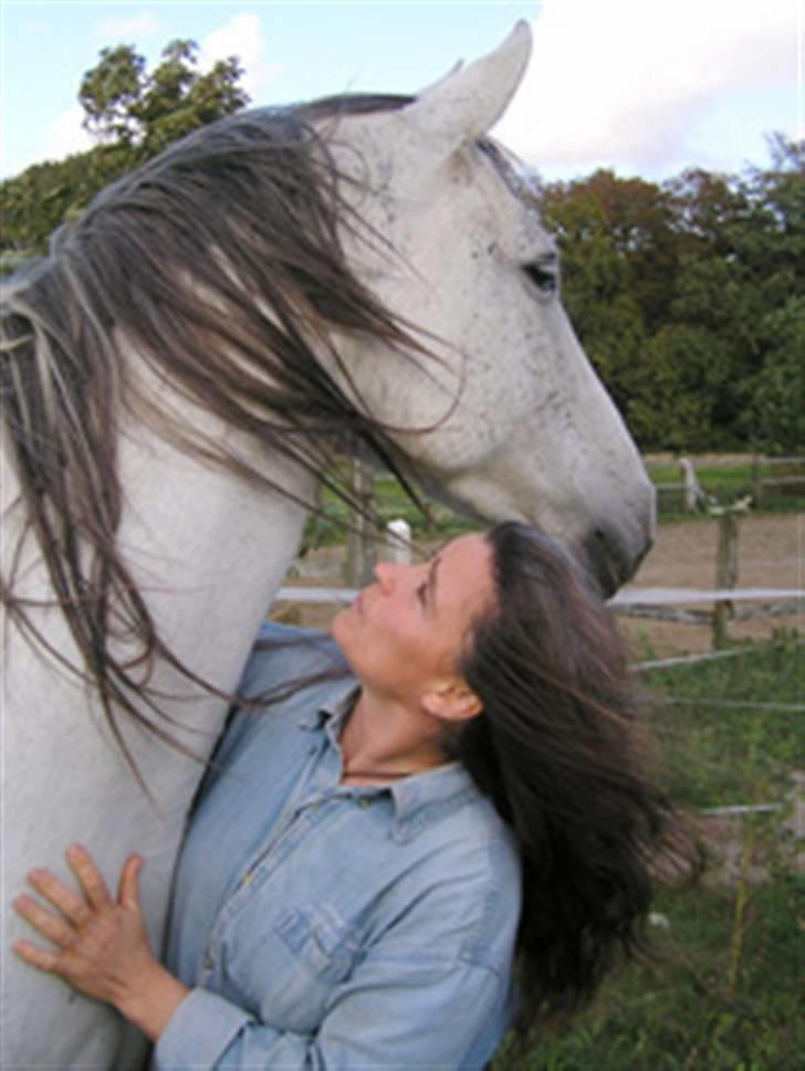 Pura Raza Española Janeda billede 9