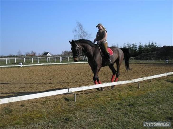 Hannoveraner Sir Sandro (kæmpe) R.I.P - Kæmpe og mig sommer 07 billede 19