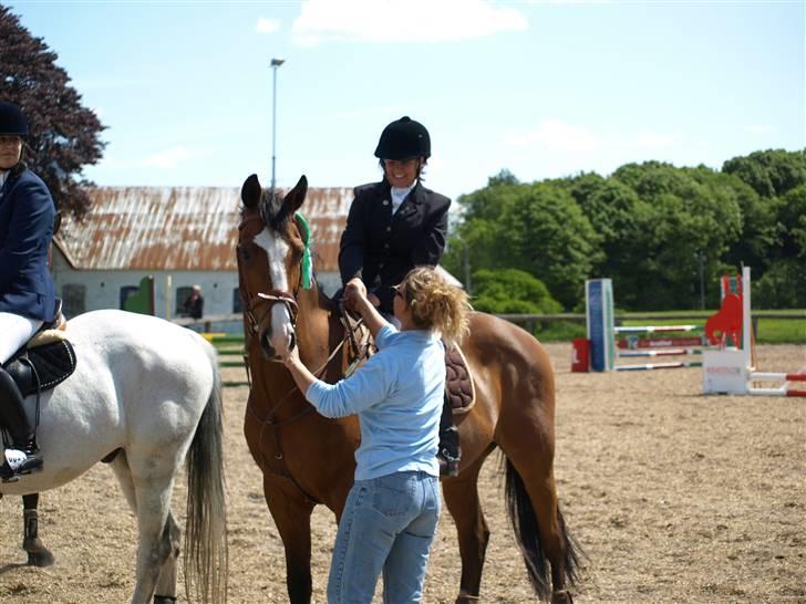 Anden særlig race Tintin<3 - stævne Maj :) billede 15