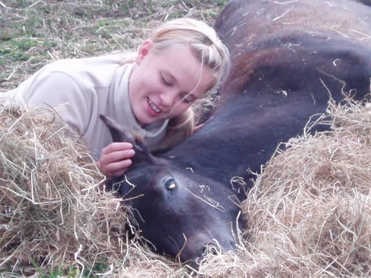 Arabisk fuldblod (OX) FE Classica - Mig og Classica i en hyggestund :) billede 9