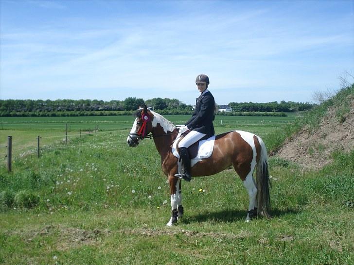 Pinto Julianebjergs Surprise billede 14