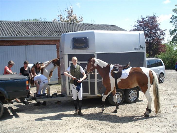 Pinto Julianebjergs Surprise billede 17